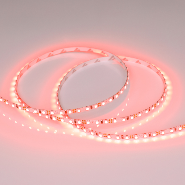 Arlight 015001(1) Светодиодная лента RT 2-5000 12V Red 5mm 2x (3528, 600 LED, LUX) (ARL, 9.6 Вт/м, IP20) Оборудование Arlight 015001(1) Светодиодная лента RT 2-5000 12V Red 5mm 2x (3528, 600 LED, LUX) (ARL, 9.6 Вт/м, IP20) по выгодной цене. Купить в Москве со скидкой.