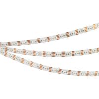 Arlight 033437 Светодиодная лента SPI-B60-10mm 12V RGB-PX1-RAM (9.3 W/m, IP20, 5060, 5m) (Arlight, бегущий огонь) Arlight 033437 Светодиодная лента SPI-B60-10mm 12V RGB-PX1-RAM (9.3 W/m, IP20, 5060, 5m) (Arlight, бегущий огонь)
