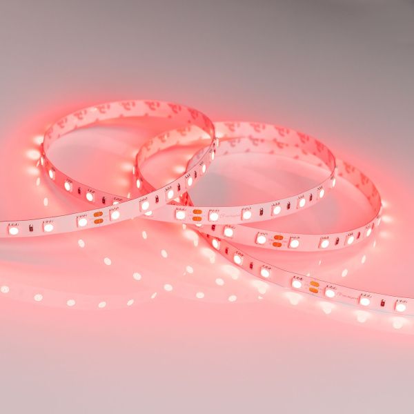 Arlight 008817 Светодиодная лента RT 2-5000 24V Red 2x (5060, 300 LED, LUX) (Arlight, 14.4 Вт/м, IP20) Оборудование Arlight 008817 Светодиодная лента RT 2-5000 24V Red 2x (5060, 300 LED, LUX) (Arlight, 14.4 Вт/м, IP20) по выгодной цене. Купить в Москве со скидкой.