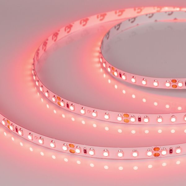 Arlight 008781(B) Светодиодная лента RT 2-5000 24V Red 2х (3528, 600 LED, LUX) (Arlight, 9.6 Вт/м, IP20) Оборудование Arlight 008781(B) Светодиодная лента RT 2-5000 24V Red 2х (3528, 600 LED, LUX) (Arlight, 9.6 Вт/м, IP20) по выгодной цене. Купить в Москве со скидкой.