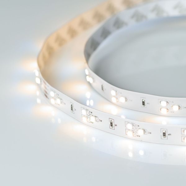 Arlight 013986 Светодиодная лента RT 2-5000 24V White-TRIX 2x (3528, 450 LED, LUX) (Arlight, 7.6 Вт/м, IP20) Оборудование Arlight 013986 Светодиодная лента RT 2-5000 24V White-TRIX 2x (3528, 450 LED, LUX) (Arlight, 7.6 Вт/м, IP20) по выгодной цене. Купить в Москве со скидкой.