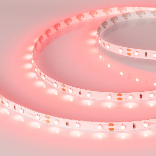Arlight 010526(1) Светодиодная лента RT 2-5000 12V Red (3528, 300 LED, LUX) (Arlight, 4.8 Вт/м, IP20) Оборудование Arlight 010526(1) Светодиодная лента RT 2-5000 12V Red (3528, 300 LED, LUX) (Arlight, 4.8 Вт/м, IP20) по выгодной цене. Купить в Москве со скидкой.