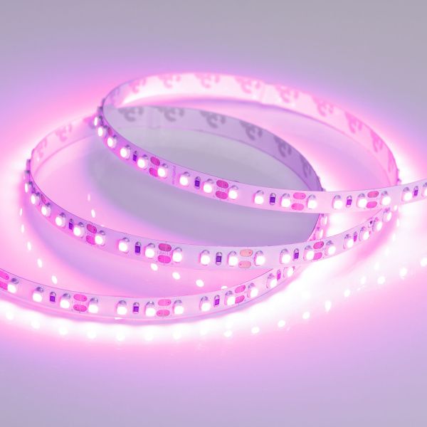 Arlight 015897(2) Светодиодная лента RT-A120-8mm 12V Pink (9.6 W/m, IP20, 2835, 5m) (Arlight, Открытый) Оборудование Arlight 015897(2) Светодиодная лента RT-A120-8mm 12V Pink (9.6 W/m, IP20, 2835, 5m) (Arlight, Открытый) по выгодной цене. Купить в Москве со скидкой.