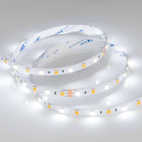 Arlight 025213 Светодиодная лента RT 6-5000 24V White-MIX 2x (5060, 60 LED/m, LUX) (Arlight, 14.4 Вт/м, IP20) Оборудование Arlight 025213 Светодиодная лента RT 6-5000 24V White-MIX 2x (5060, 60 LED/m, LUX) (Arlight, 14.4 Вт/м, IP20) по выгодной цене. Купить в Москве со скидкой.