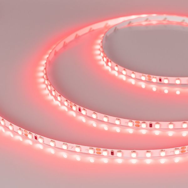 Arlight 015657(B) Светодиодная лента RT 2-5000 24V Red 5mm 2x (3528, 600 LED, LUX) (Arlight, 9.6 Вт/м, IP20) Оборудование Arlight 015657(B) Светодиодная лента RT 2-5000 24V Red 5mm 2x (3528, 600 LED, LUX) (Arlight, 9.6 Вт/м, IP20) по выгодной цене. Купить в Москве со скидкой.