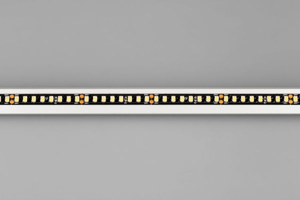 Arlight 029426 Светодиодная лента RT-5000-2835-160-24V Warm3000 (Black 8mm, 12W, IP20) (Arlight, -) Оборудование Arlight 029426 Светодиодная лента RT-5000-2835-160-24V Warm3000 (Black 8mm, 12W, IP20) (Arlight, -) по выгодной цене. Купить в Москве со скидкой.