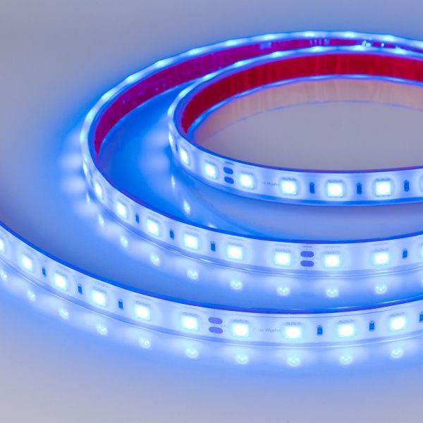 Arlight 036171 Светодиодная лента герметичная RTW-PFS-B60-13mm 24V Blue (14.4 W/m, IP68, 5060, 5m) (Arlight, 14.4 Вт/м, IP68) Оборудование Arlight 036171 Светодиодная лента герметичная RTW-PFS-B60-13mm 24V Blue (14.4 W/m, IP68, 5060, 5m) (Arlight, 14.4 Вт/м, IP68) по выгодной цене. Купить в Москве со скидкой.