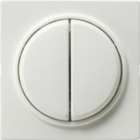 Gira 0295 40 Накладка и клавиша, 2-местн.