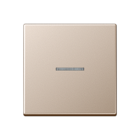 Jung A 10911 ST RF CH KNX RF кнопка, 1 группа, Цвет: Бежевый, оттенок: Цвет шампанского
