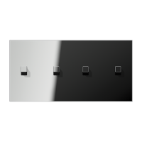 Jung GCR 12-250 E 22 Центральная плата с тумблером «куб»