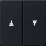 Gira 0294 005 Клавиша 2-местн. с символом стрелки