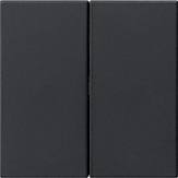 Gira 5362 005 Накладка управления 2-местн. System 3000