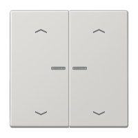 Jung LS 102 KO5P LG Клавиша с окошком и с символами «стрелки»