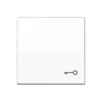 Jung ABAS 591 T WW Клавиша с символом «ключ»