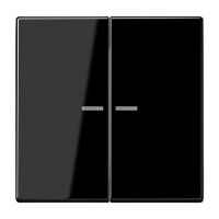 Jung LS 10921 ST RF SW KNX RF кнопка, 2 группы, Цвет: Черный, оттенок: