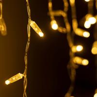 Arlight 031190 Светодиодная гирлянда ARD-EDGE-CLASSIC-2400x600-CLEAR-88LED-FLASH Warm/Warm (230V, 6W) (ARDCL, IP65)