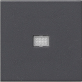 Gira 0298 28 Клавиша с большим контрольным окошком