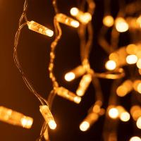 Arlight 031183 Светодиодная гирлянда ARD-EDGE-CLASSIC-2400x600-CLEAR-88LED-STD Yellow (230V, 6W) (ARDCL, IP65)