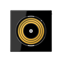 Jung PL A DMS SW Kрышка