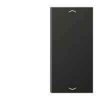 Jung AL 2402 TSAP AN Накладка, 2-ная с символами «стрелки»