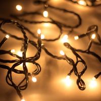 Arlight 025765 Светодиодная гирлянда ARD-STRING-HOME-5000-GREEN-50LED-FLASH WARM (230V, 3.5W) (Ardecoled, IP20)