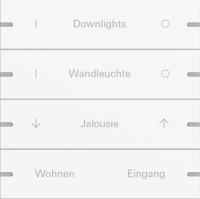 Gira 5034927 Набор клавиш четверн., индивидуально для сенсорного выключателя 4
