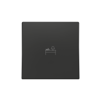 Zennio 830004205 ZS55, Защитная накладка на один переключатель 55x55 мм, Антрацит, На заказ