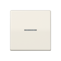 Jung AS 591 KO5BFS Kлавиша с подсветкой и с винтовым креплением