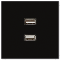 Jung MA LS 1153 SW 2 x USB 2.0