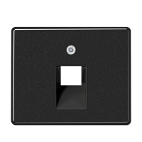 Jung SL 569-1 UA SW Kрышка