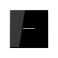Jung A 10911 ST RF BF SW KNX RF кнопка, 1 группа, Цвет: Черный, оттенок: Без оттенка