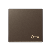 Jung A 590 T MO Клавиша с символом «ключ»