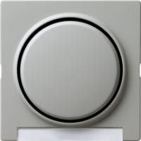 Gira 0299 42 Накладка с полем для надписи и клавишей