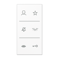 Jung SI V6 LS DC WW Накладка с символами видео