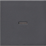 Gira 0290 28 Клавиша с контрольным окошком