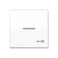 Jung ABAS 591 KO5T WW Kлавиша с символом «ключ» и окошком