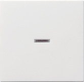 Gira 0290 03 Клавиша с контрольным окошком