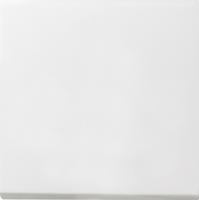 Gira 0126112 Кнопочный выключатель 10 AX 250 В~ с клавишейУниверсальный выключатель/перекрестный переключатель