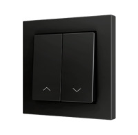 Zennio ZS552PB2SA ZS55. Простая сенсорная кнопка для 1 двоичного входа, 55 x 55 мм, антрацит