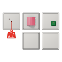 Jung NRS LS 0834-2 LG Набор системы срочного вызова с ИБП