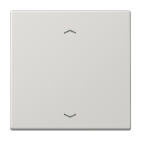 Jung LS 101 P LG Клавиша с символами «стрелки»