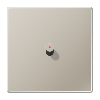 Jung ES 12-0 KO K 1 Центральная плата с тумблером «конус», с окошком