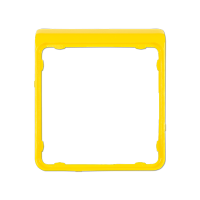 Jung CDP 82 GE Внешняя цветная рамка