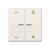 Jung AS 1701 P Центральная плата универсальная «стрелки»