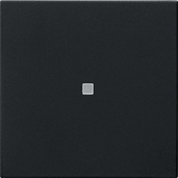 Gira 5368005 Накладка управления System 3000 BT