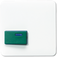 Jung CD 642 C WW Крышка для Ackermann, тип 73642 C