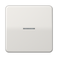 Jung CD 101 KO5 LG Клавиша с окошком