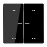 Jung LS 102 KO5P SW Клавиша с окошком и с символами «стрелки»