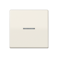 Jung ABAS 591 KO5 Клавиша с окошком