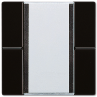 Jung LS2092NABSSW KNX универсальный кнопочный сенсор, 2 группы, цвет: Чёрный